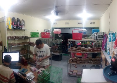 Photos of Moto Cats Petshop