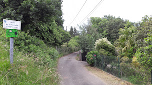 Photo n°13 de B&B - En plein cœur de la forêt à Artiguelouve (Diner)