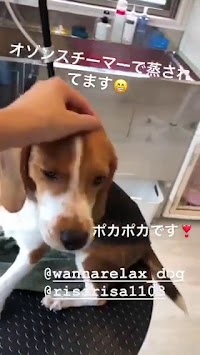 ドッグサロン ワンリラ wannarelax