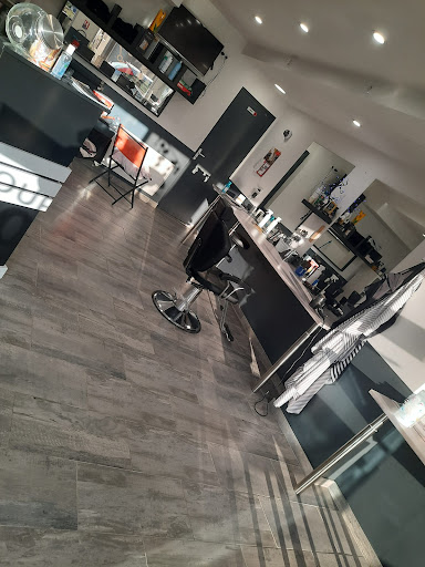 SALON PASTEUR - Visual
