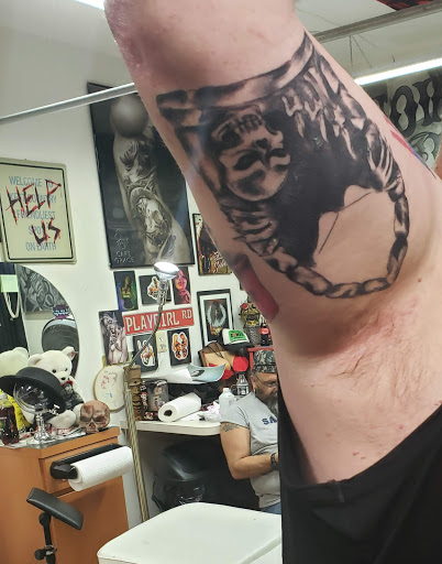 True Innovations - Visual