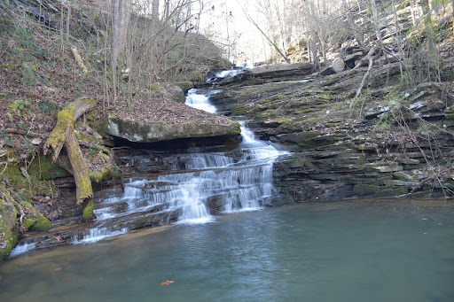 Nectar Falls - Visual
