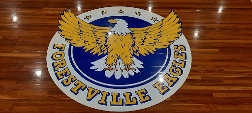 Forestville Eagles Basketball Club