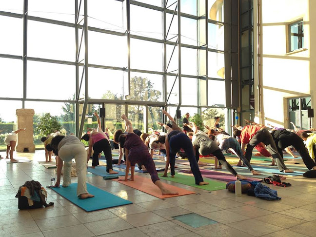 Stage Yoga, Retraite Yoga Lyon - Yoga Escape Lyon - La Part-Dieu