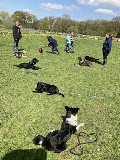 Hundeschule Revital - Germany