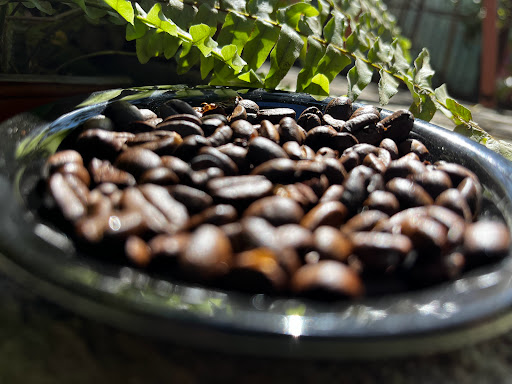 Māo Café 猫咖啡 - Thumbnail