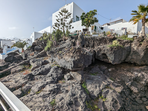 Dolphin tours Lanzarote - Thumbnail