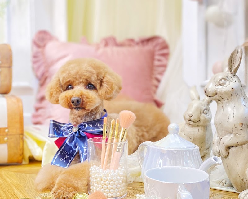 いぬねこサロンTtugTtug(トゥグトゥグ)