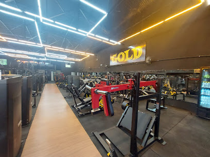 Gold Fitness Centro