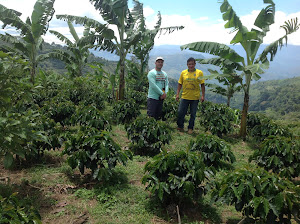 Ecologic Coffee la casa de cafe en Chanchamayo 7