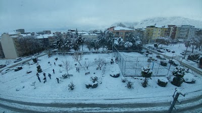 Basketbol Sahası