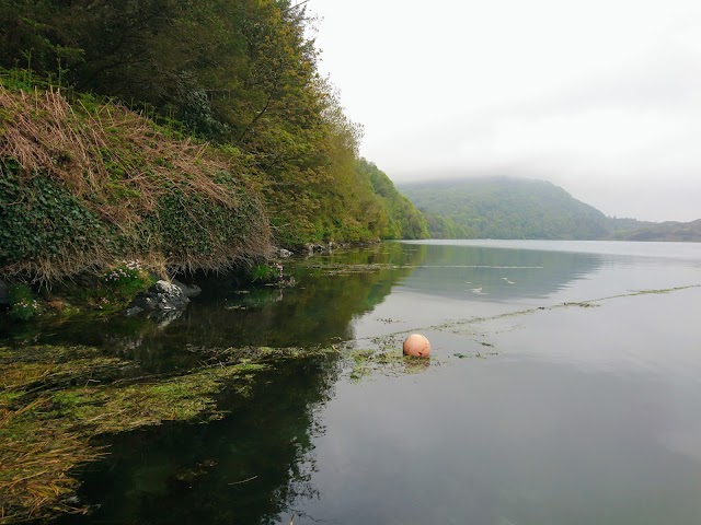 Lough Hyne