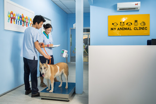 My Animal Clinic & Surgery