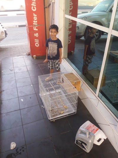 Photos of AL HASSANI CAR WASHING STATION