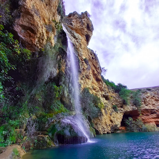 Charco Maravilla - Thumbnail