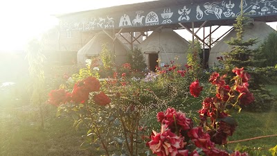 Photos of Happy Nomads Village