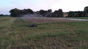 Photo n°2 de La Ferme Intention à La Chapelle-Chaussée (Ferme bio)