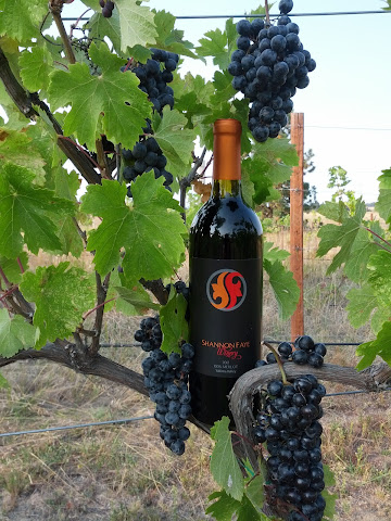 Shannon Faye Winery by null