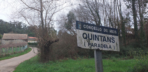 Quintans - Visual