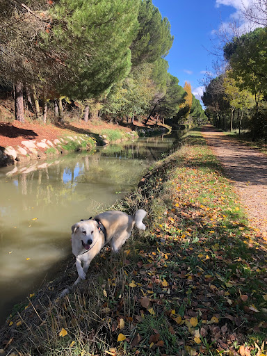 Acequia - Thumbnail