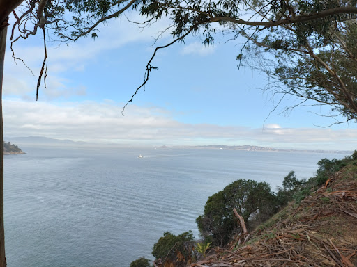 Point Campbell Cove - Thumbnail