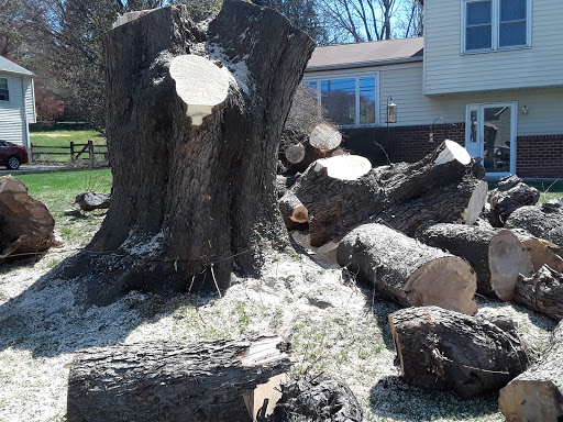 Roscioli Park - Thumbnail