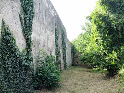 Fortress Medzhittabia