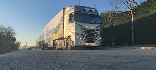 Tirapelle Trasporti Srl - Thumbnail