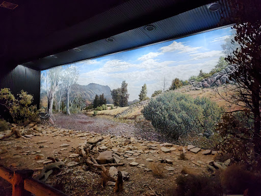 Jeff Morgan Gallery - Thumbnail