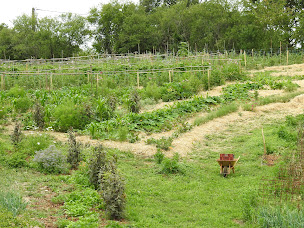Photo n°7 de Le Potager de Nicolas à Issendolus (Maraîcher)