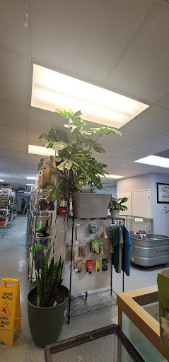 Panhandle Exotics - Visual