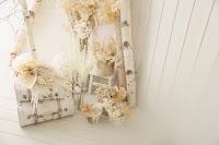 フォトスタジオ シャレニー デッキー401店