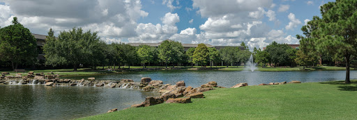 Texas Foot & Ankle Specialists - Thumbnail