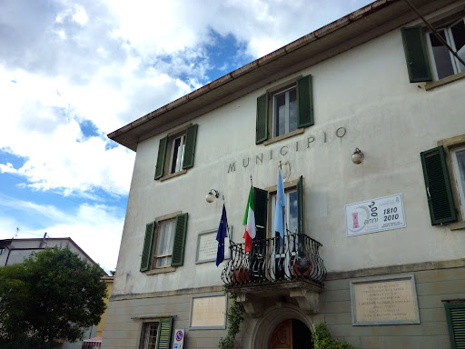 Collesalvetti