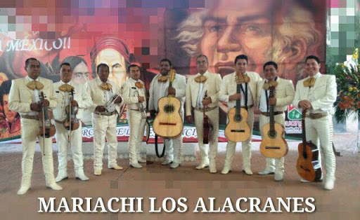 Mariachis los Alacranes