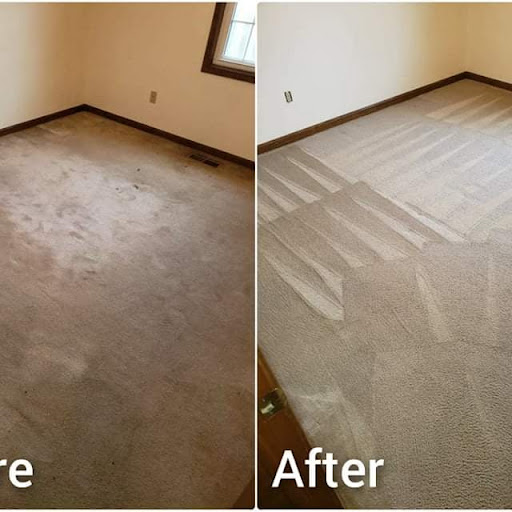 Hawkins Carpet Cleaning Gallery - United States
