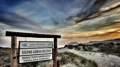 Photos of G&ouml;ksu Deltası