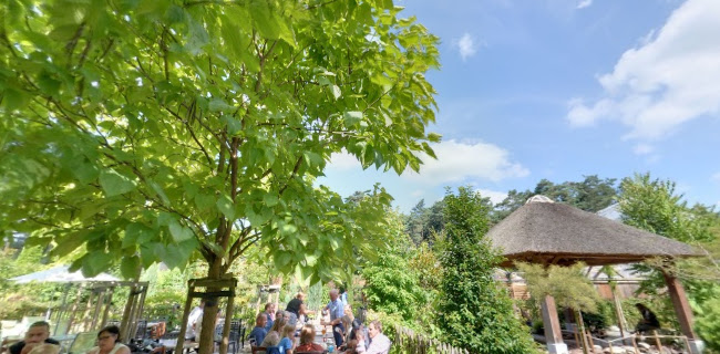 Beoordelingen van De Vuvuzela in Beringen - Restaurant