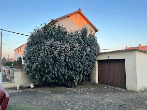 Photo n°14 de Michel Ribau à Homécourt (Agence de services d'aide à domicile)