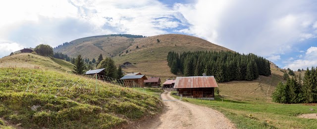 Le Pastoral