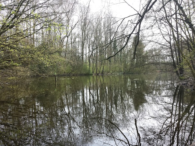 Canoe rental Amsterdam Forest