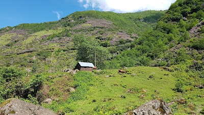 Photos of Pasha of Waterfall
