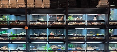 Twin Cities Reptiles