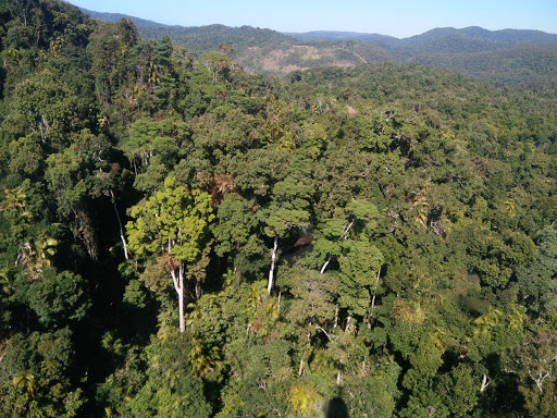 Oz Tours Safaris - Cape York Tours Gallery - Australia