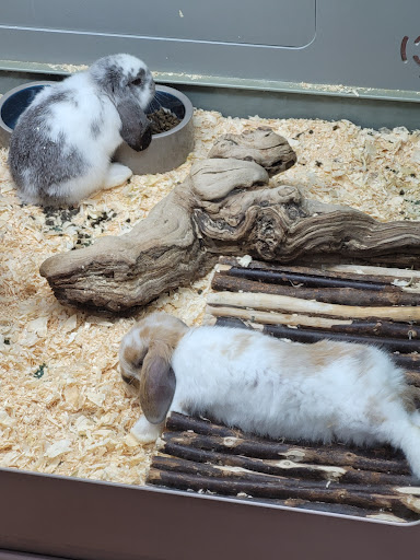 Pet World Ottawa - Thumbnail