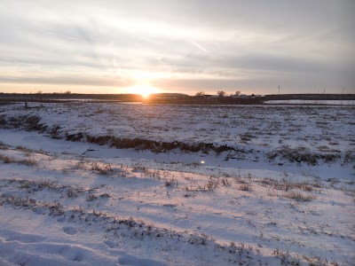 Baker University Wetlands