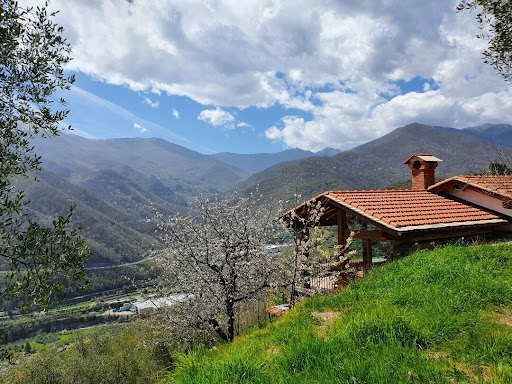 Tenuta Organica - Thumbnail