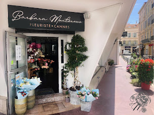 Photo n°1 de Barbara Monterosso à Cannes (Magasin de plantes artificielles)
