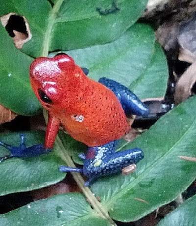 Photos of Finca El Indio