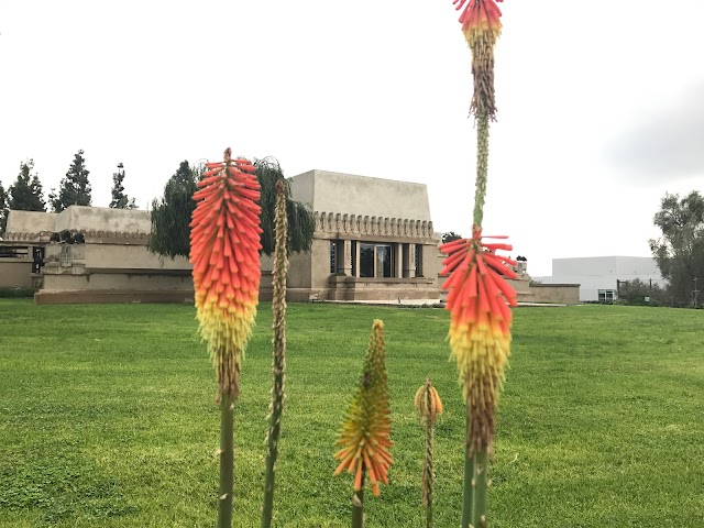 Hollyhock House